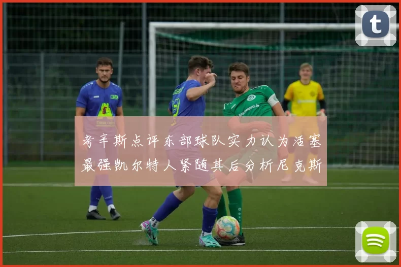 考辛斯点评东部球队实力认为活塞最强凯尔特人紧随其后分析尼克斯不足之处