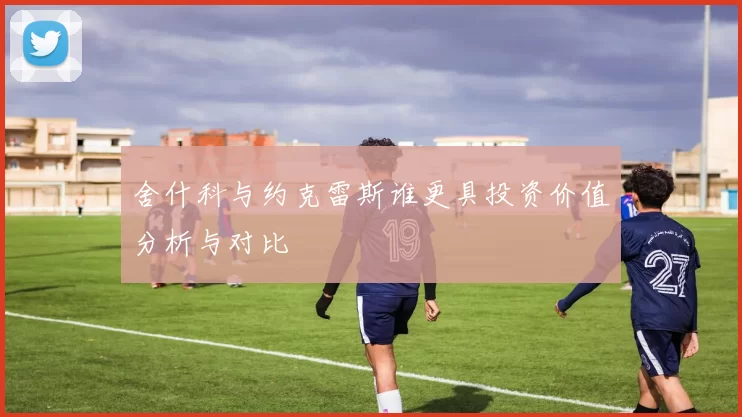 舍什科与约克雷斯谁更具投资价值分析与对比